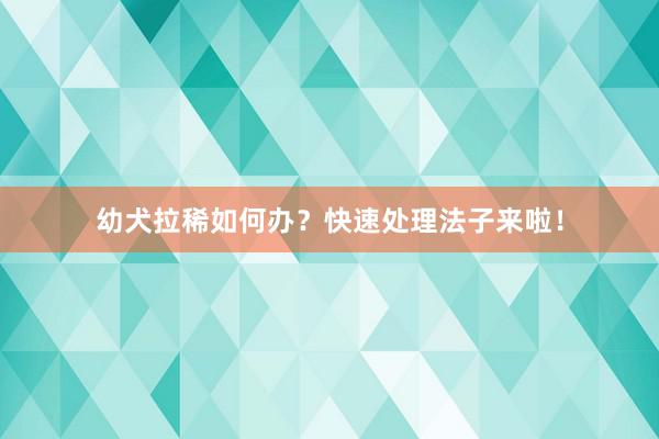 幼犬拉稀如何办？快速处理法子来啦！